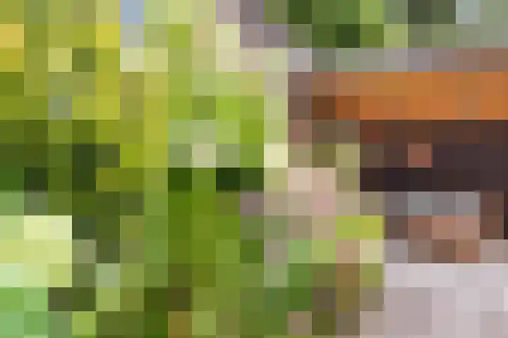 Reigerlaan 8 Nijkerk thumbnail 30