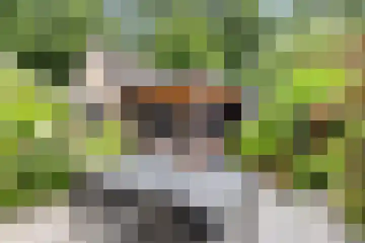 Reigerlaan 8 Nijkerk thumbnail 31