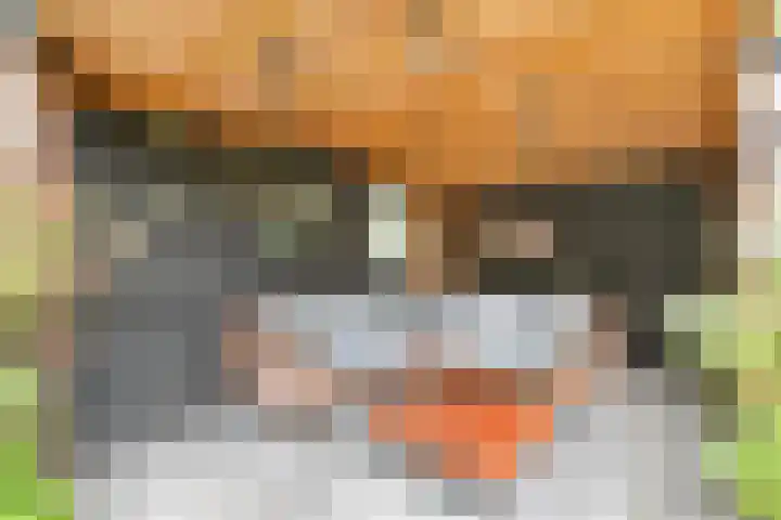 Reigerlaan 8 Nijkerk thumbnail 32