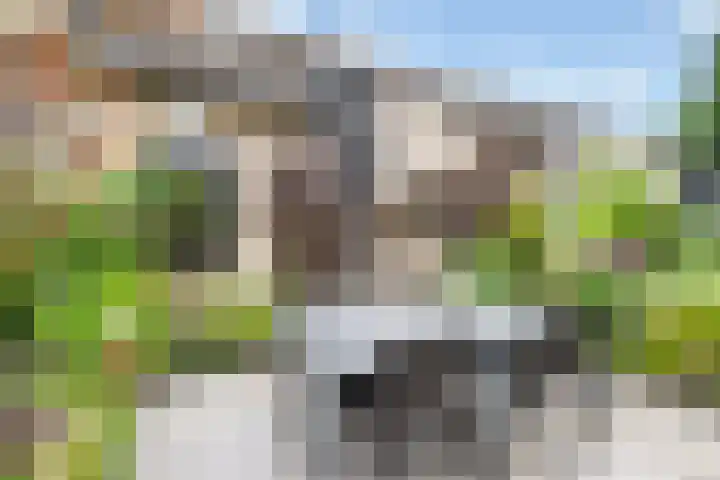 Reigerlaan 8 Nijkerk thumbnail 33