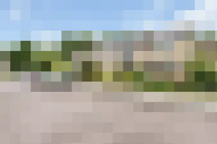 Reigerlaan 8 Nijkerk thumbnail 34