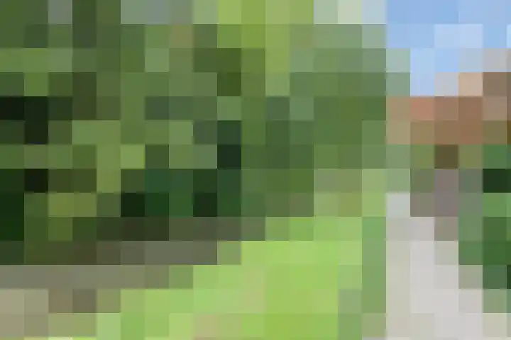 Reigerlaan 8 Nijkerk thumbnail 36