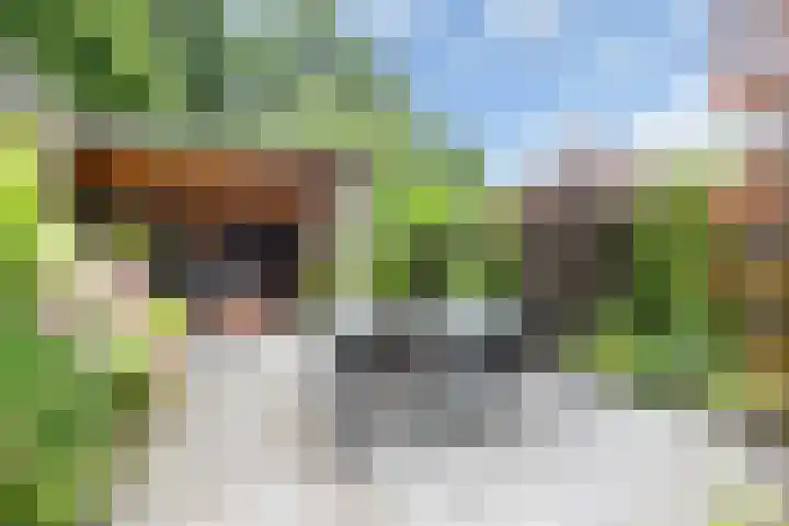 Reigerlaan 8 Nijkerk thumbnail 4