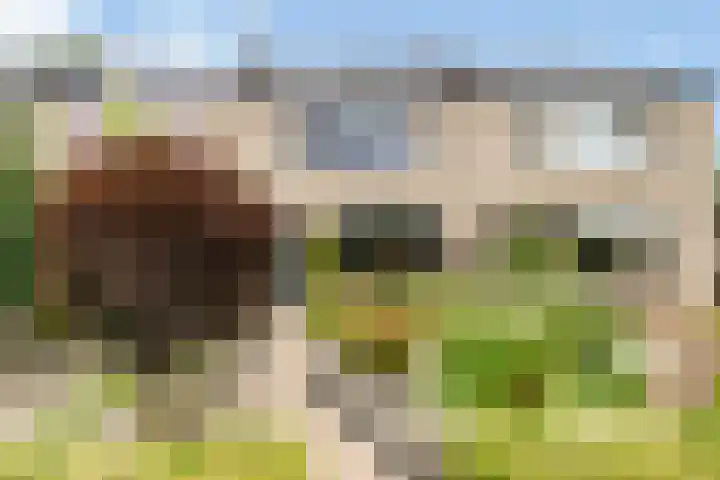 Reigerlaan 8 Nijkerk thumbnail 6