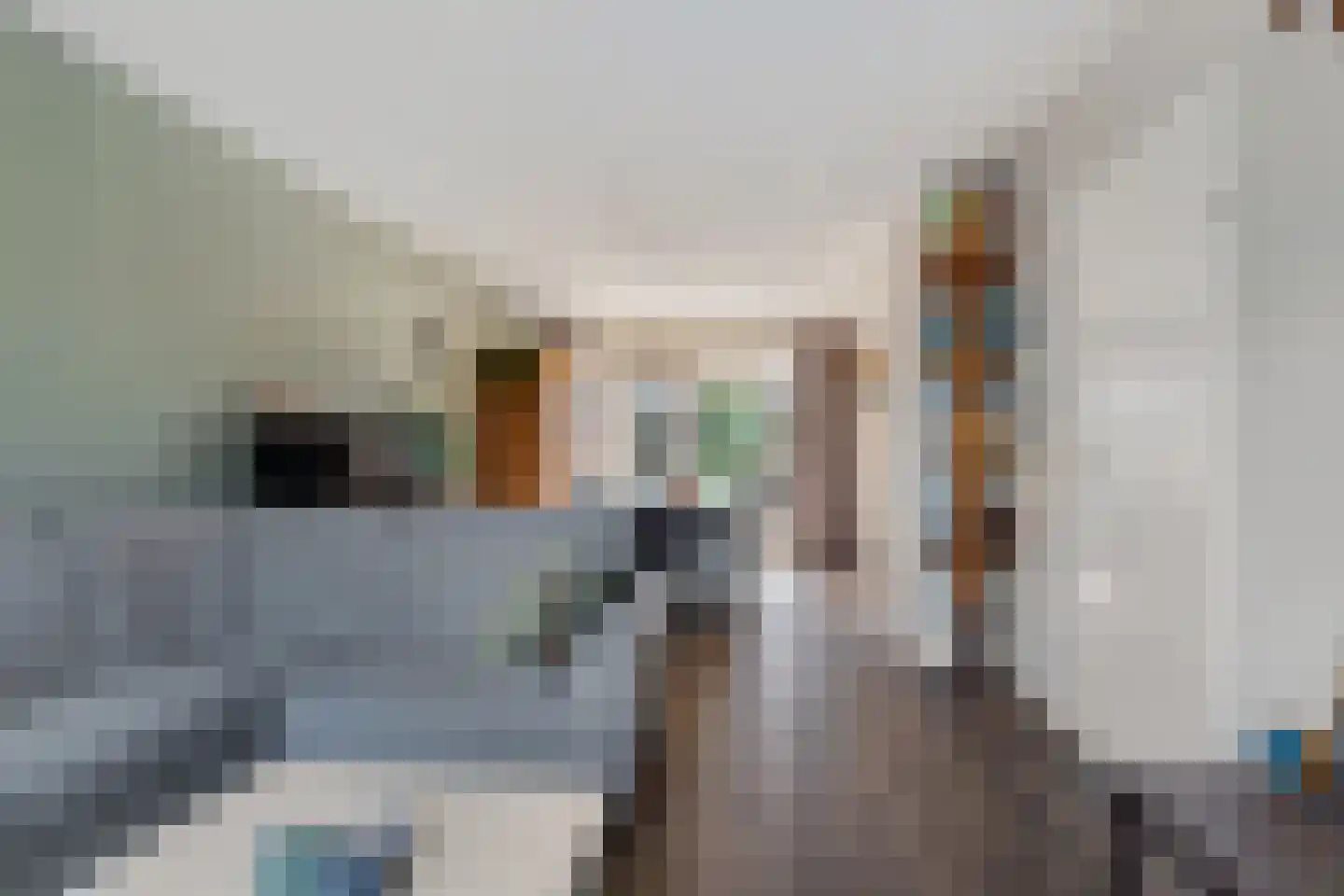 Reigerlaan 8 Sint Pancras thumbnail 12