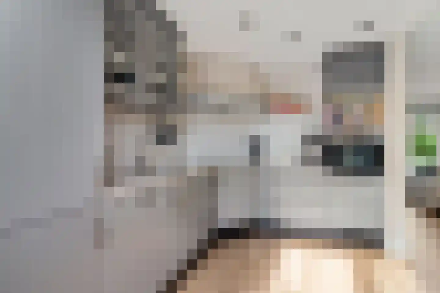 Reigerlaan 8 Sint Pancras thumbnail 14