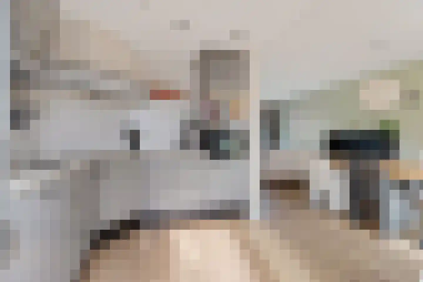 Reigerlaan 8 Sint Pancras thumbnail 15