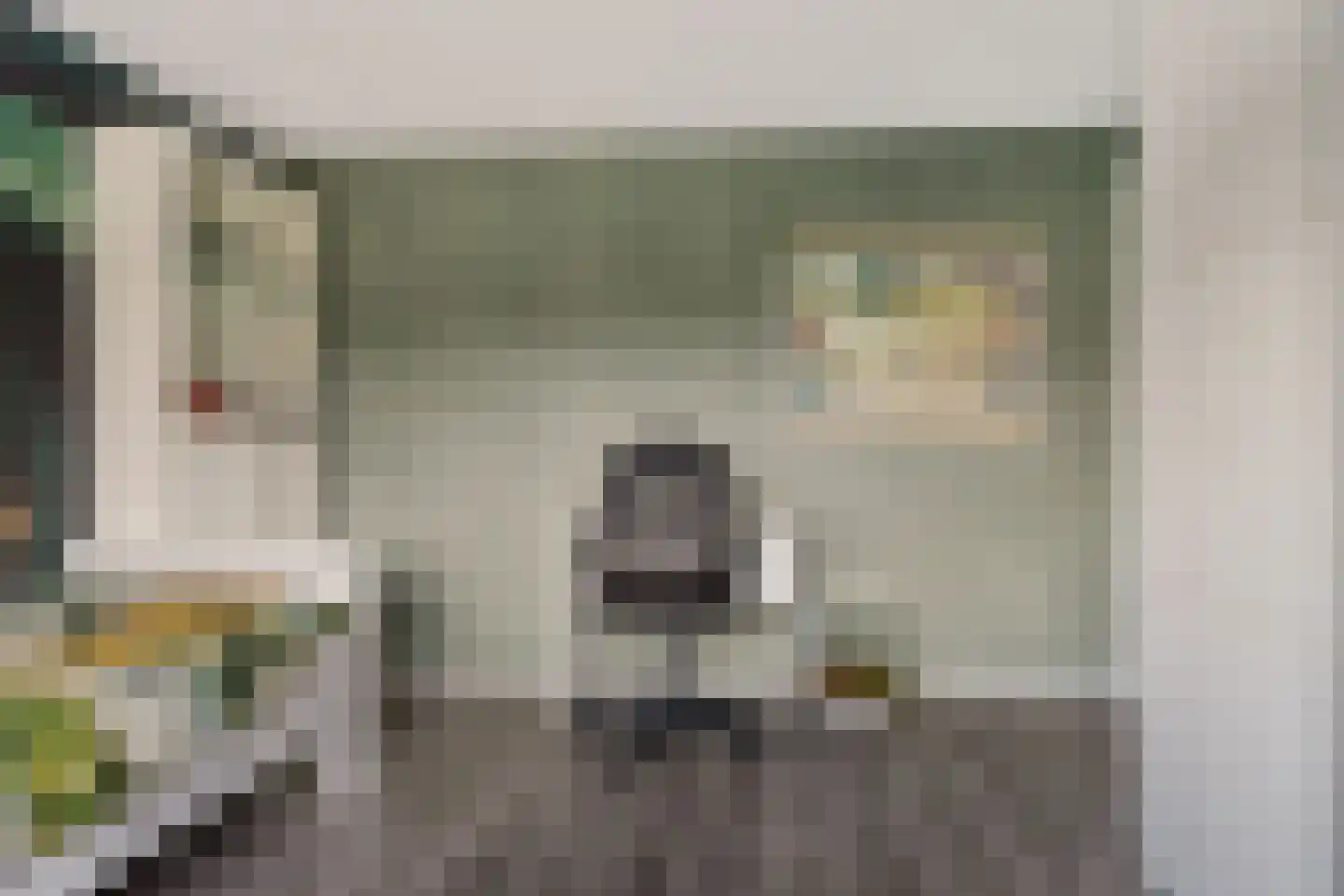 Reigerlaan 8 Sint Pancras thumbnail 24