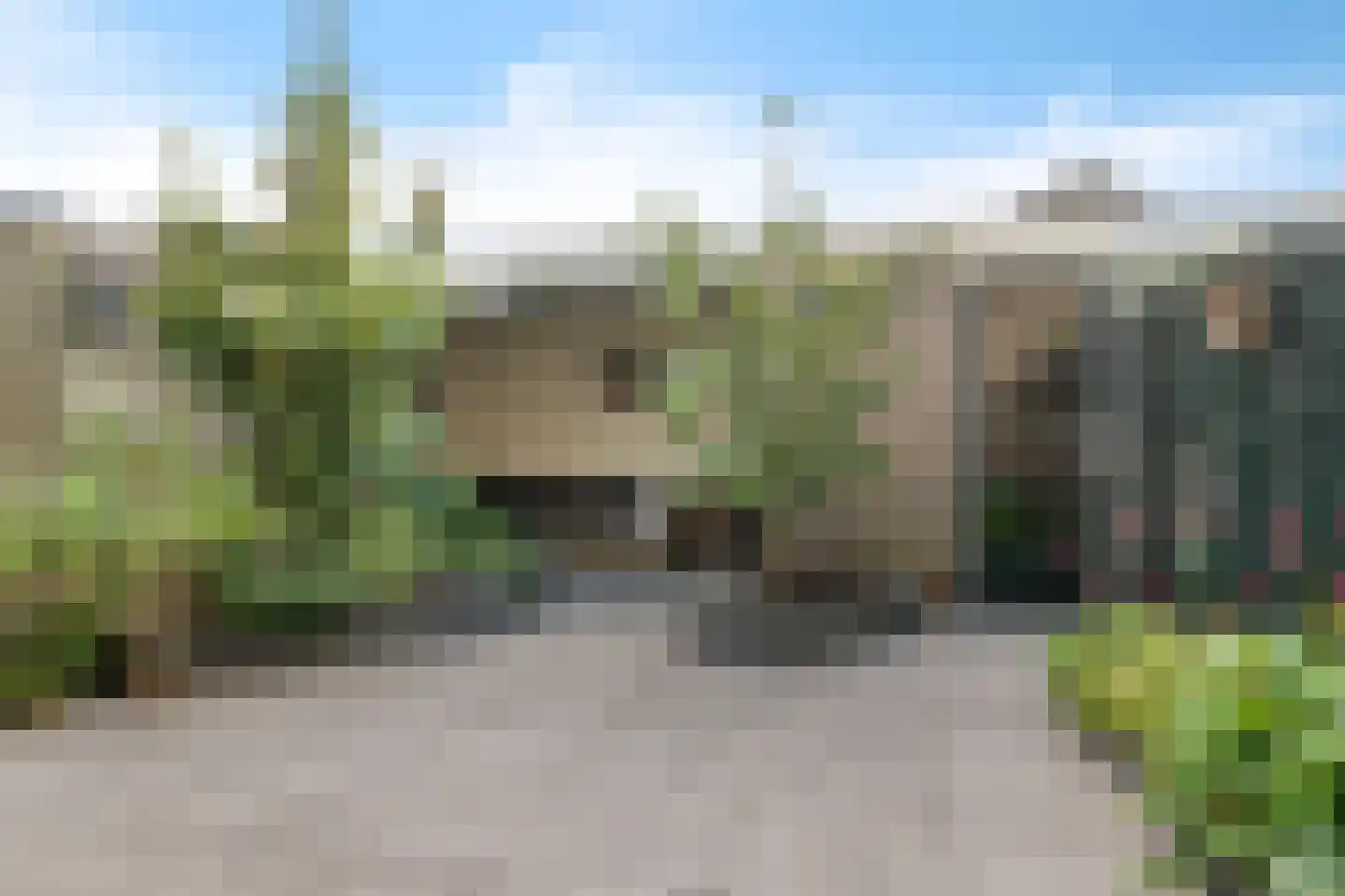 Reigerlaan 8 Sint Pancras thumbnail 35
