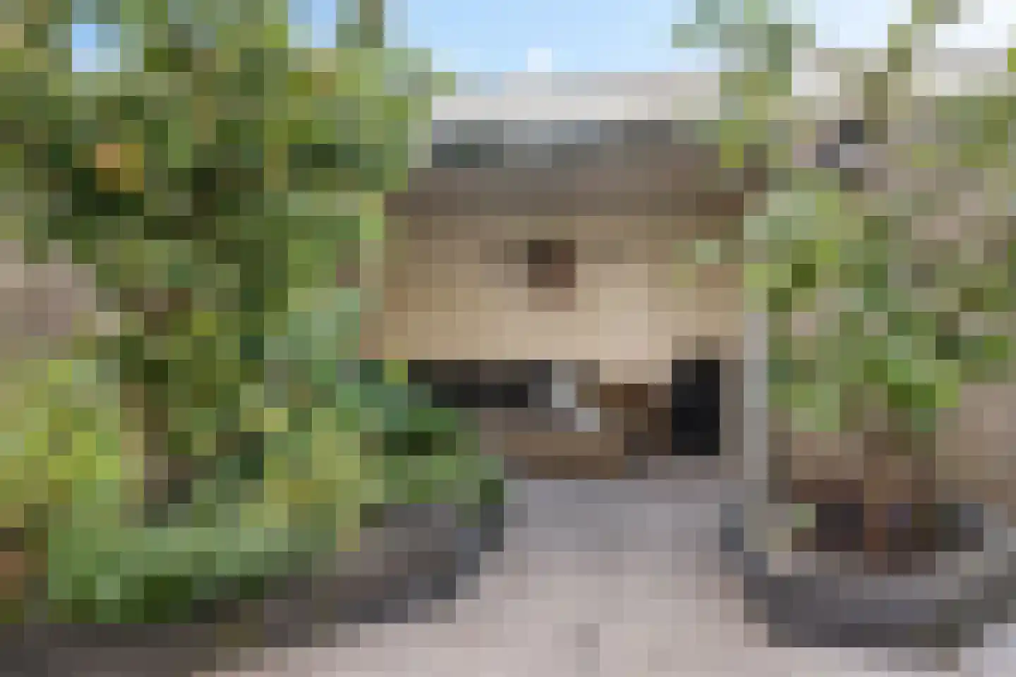 Reigerlaan 8 Sint Pancras thumbnail 36