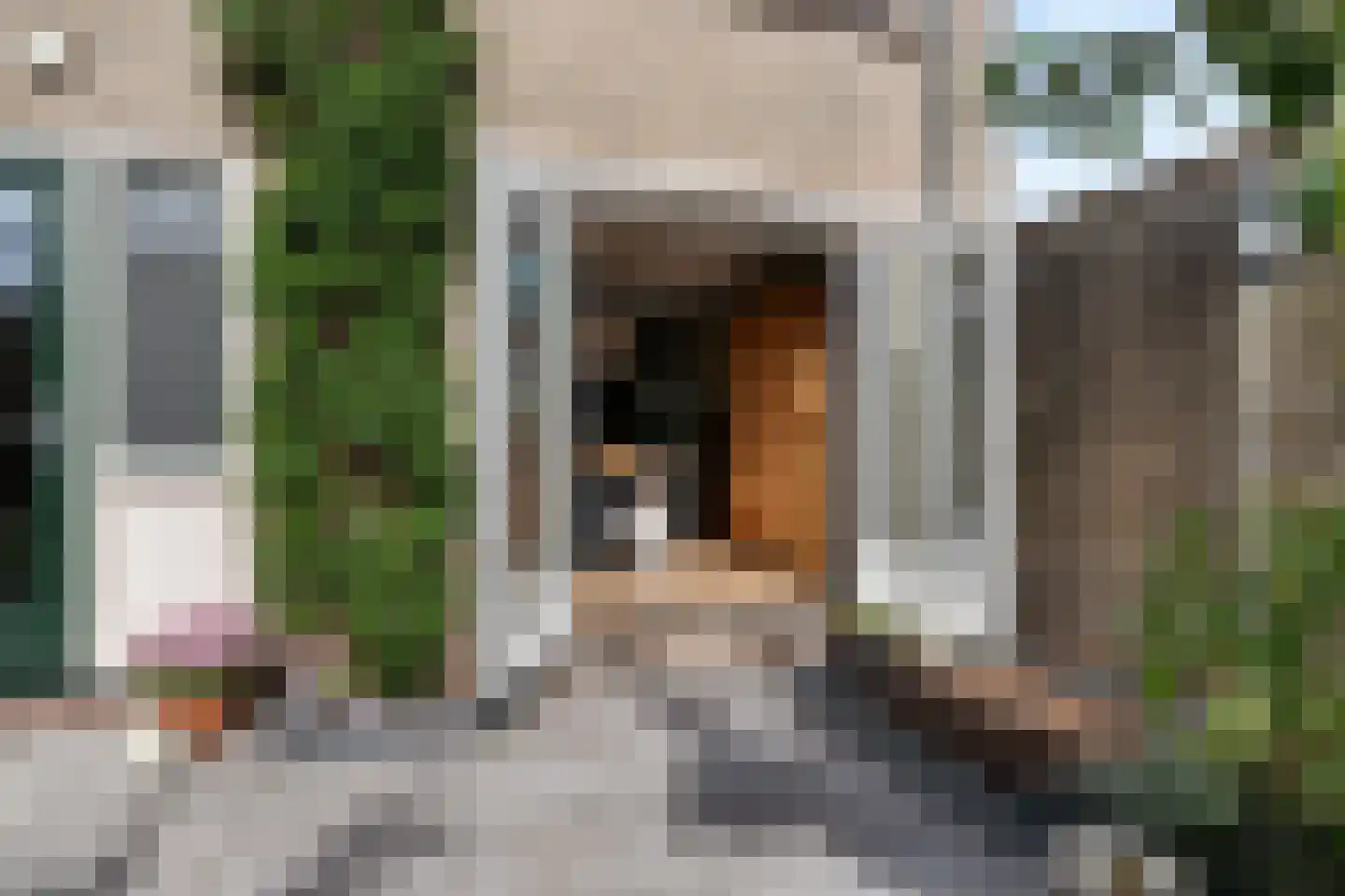 Reigerlaan 8 Sint Pancras thumbnail 38