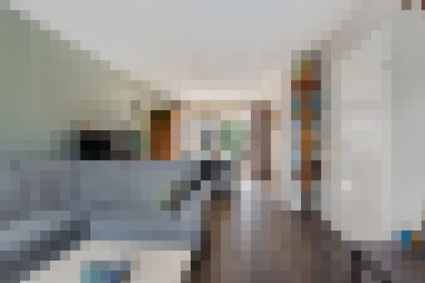 Reigerlaan 8 Sint Pancras thumbnail 4