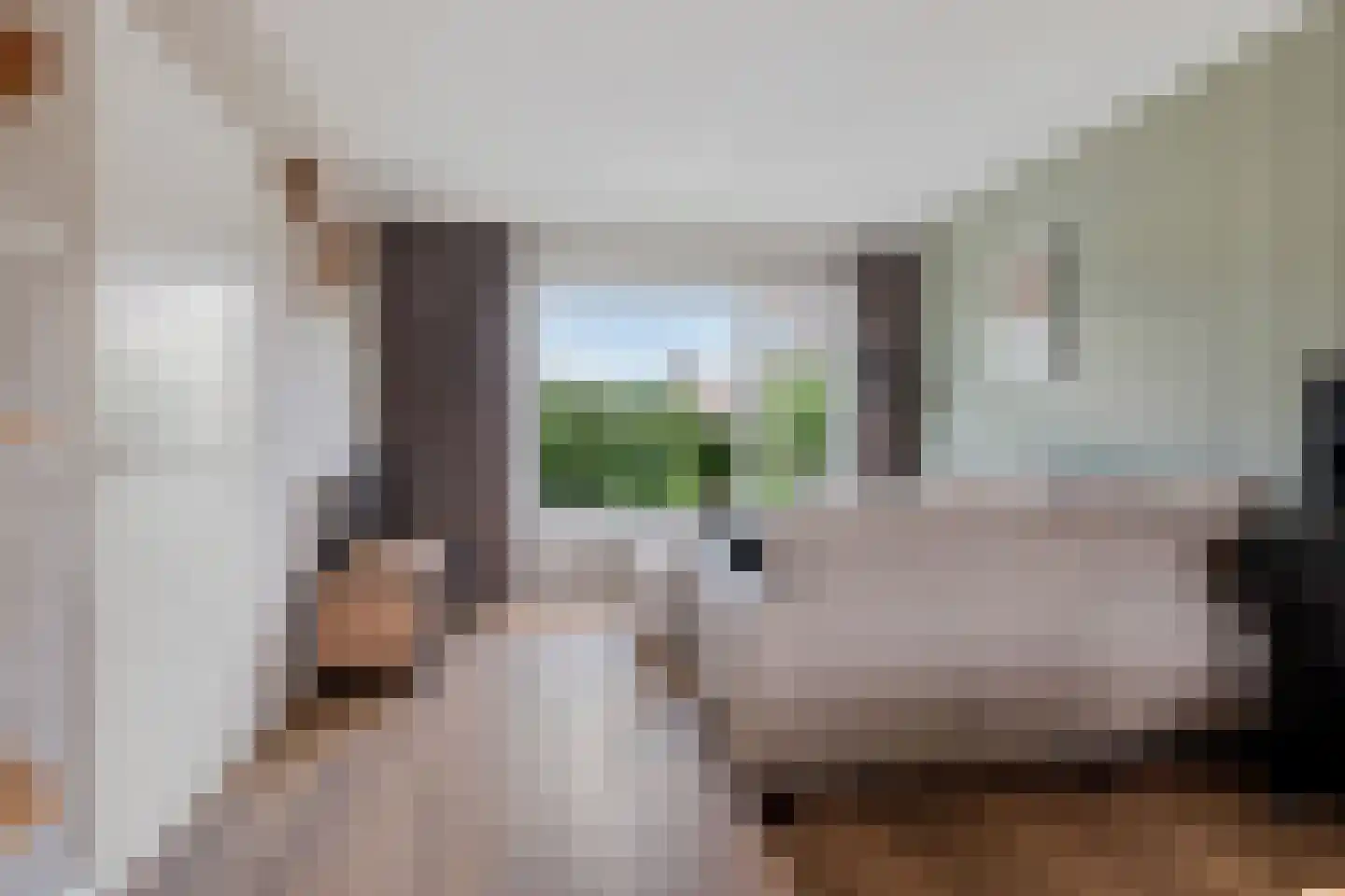 Reigerlaan 8 Sint Pancras thumbnail 7