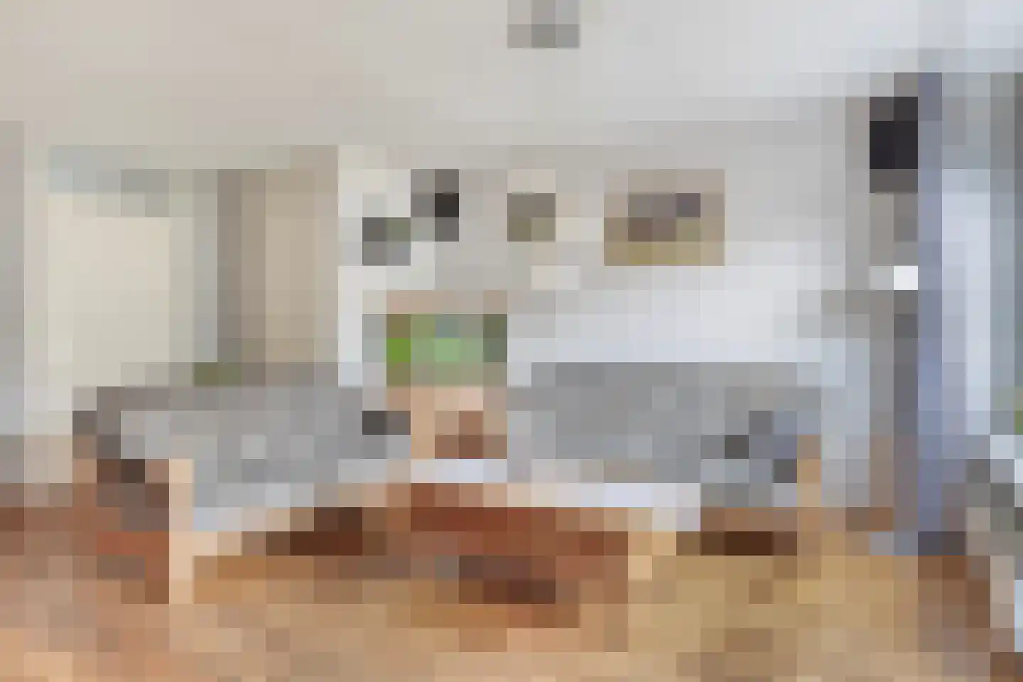 Reigerlaan 81 De Lier thumbnail 10