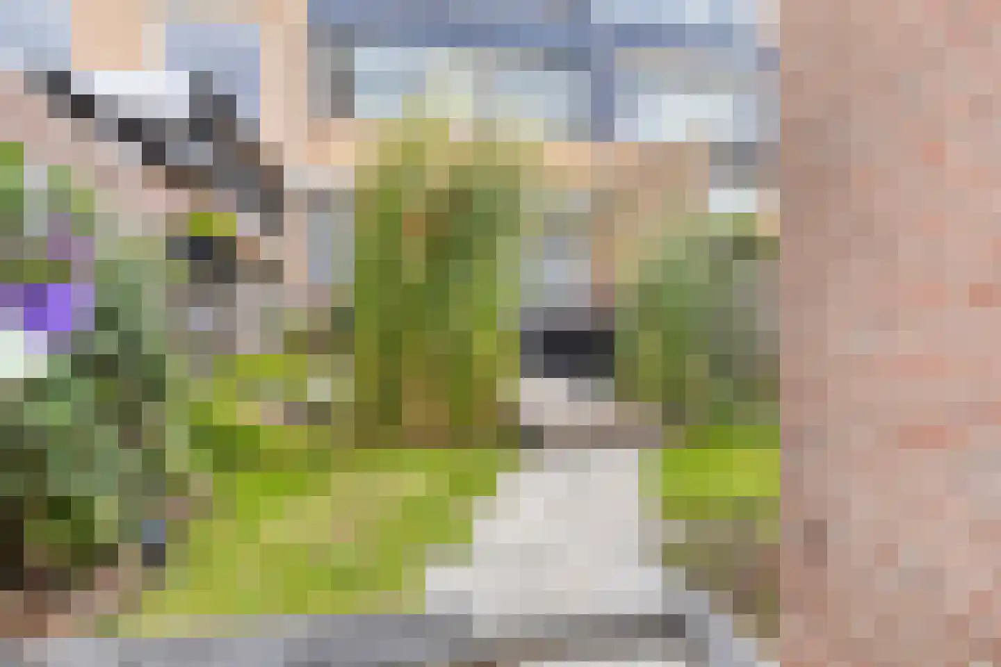 Reigerlaan 81 De Lier thumbnail 26