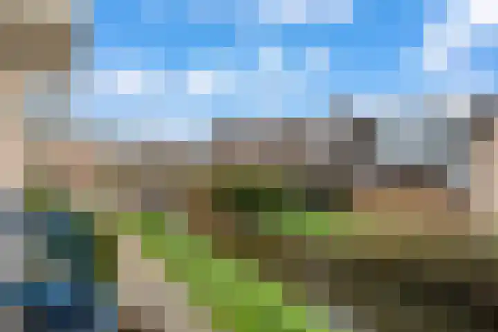 Reigerpad 17 IJsselstein thumbnail 19