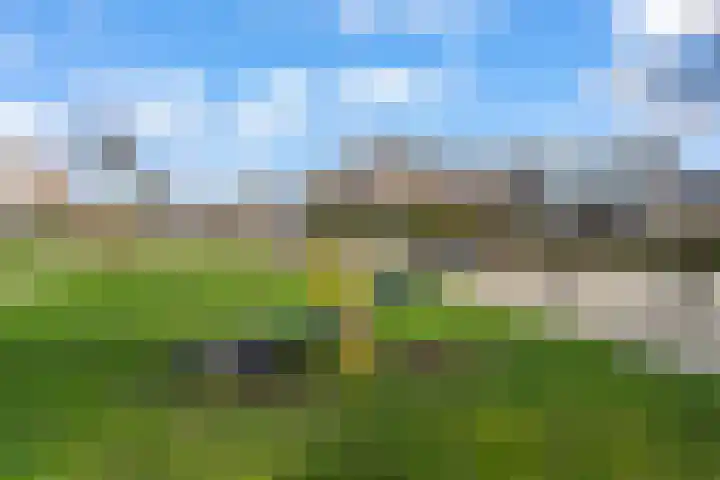Reigerpad 17 IJsselstein thumbnail 29