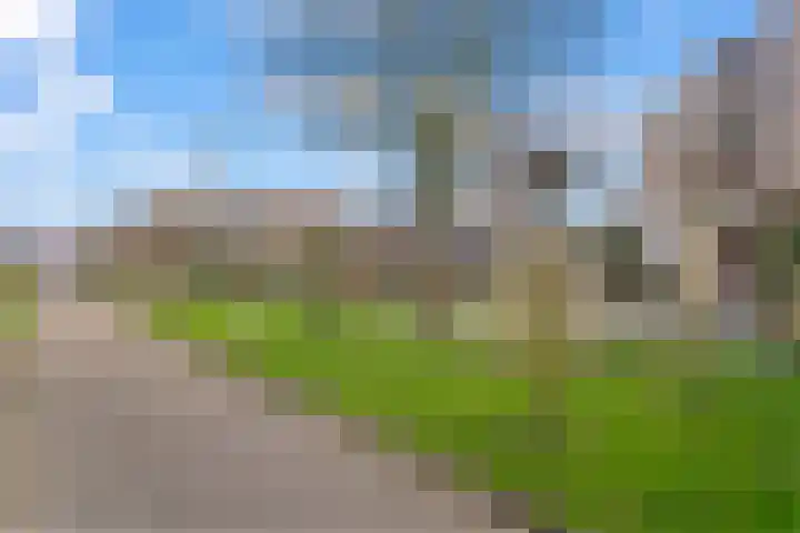 Reigerpad 17 IJsselstein thumbnail 31