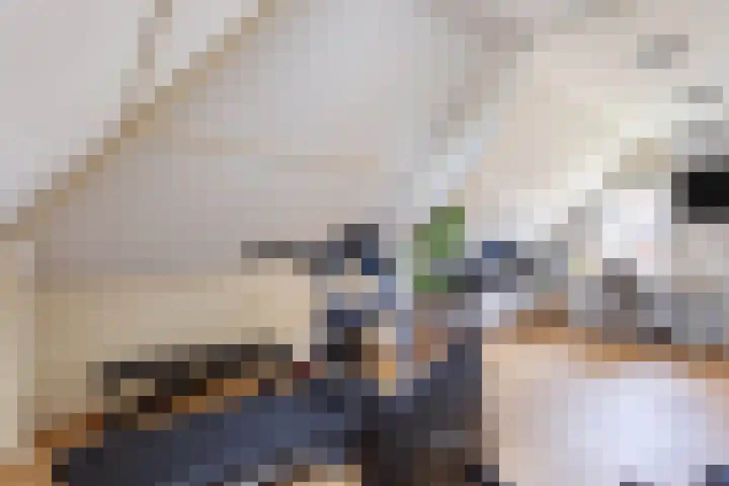 Reigerpad 52 Soest thumbnail 33