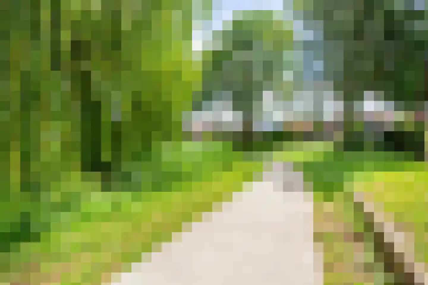 Reigerpad 52 Soest thumbnail 41