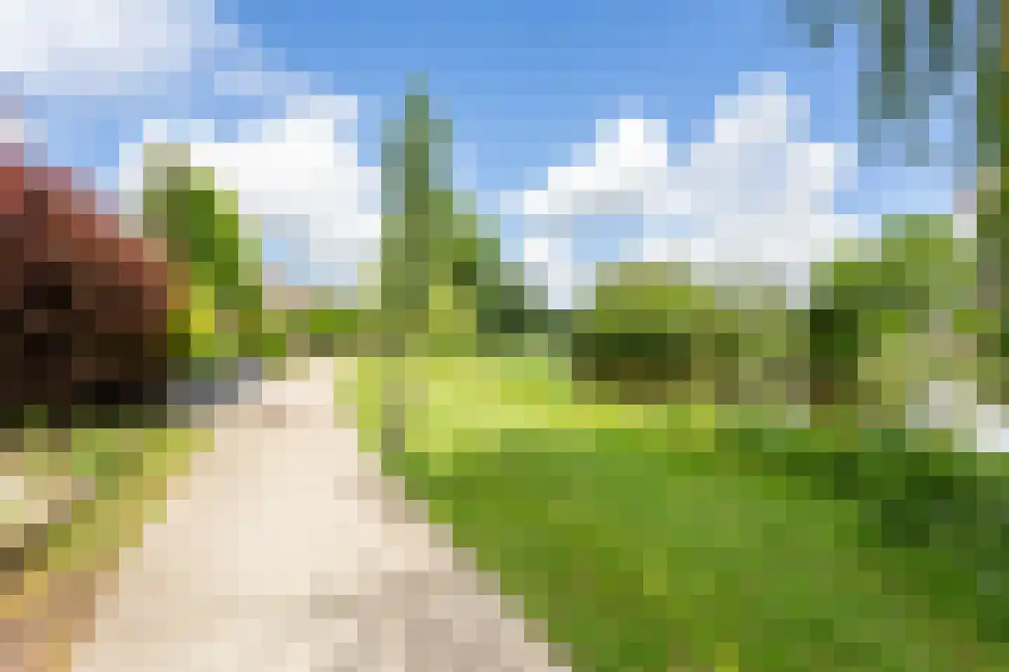 Reigerpad 52 Soest thumbnail 42