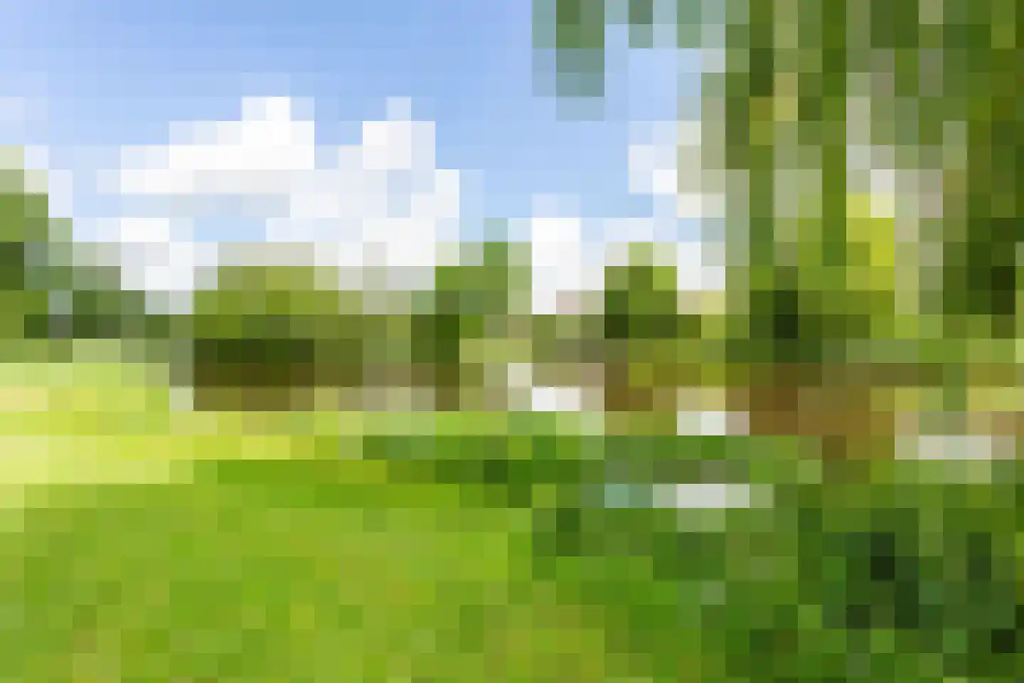 Reigerpad 52 Soest thumbnail 43