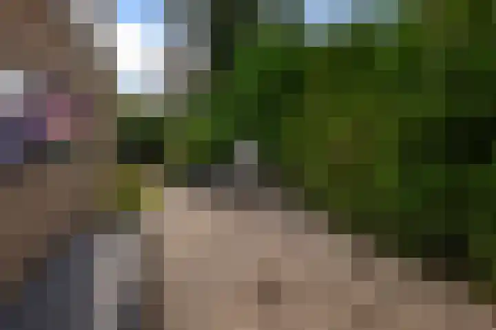 Reigerpark 25 Purmerend thumbnail 31