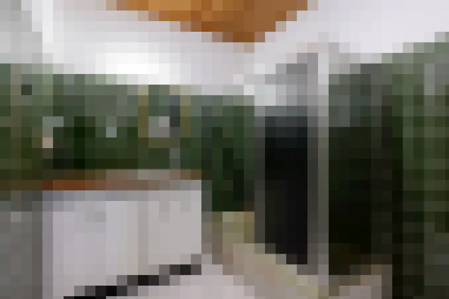 Reigerpark 36 Purmerend thumbnail 29