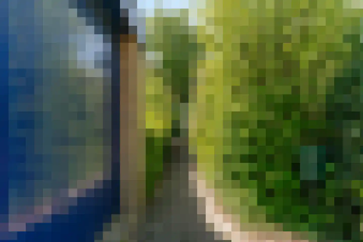 Reigerpark 36 Purmerend thumbnail 37