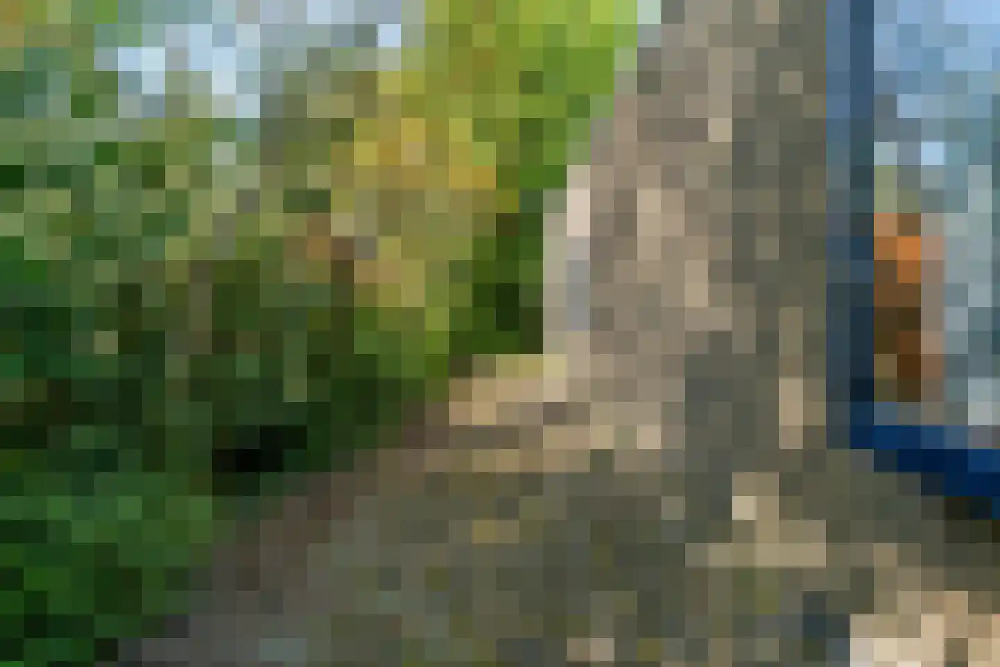 Reigerpark 36 Purmerend thumbnail 39