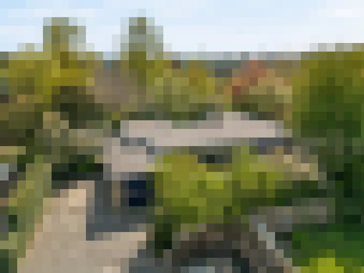 Reigerpark 36 Purmerend thumbnail 50