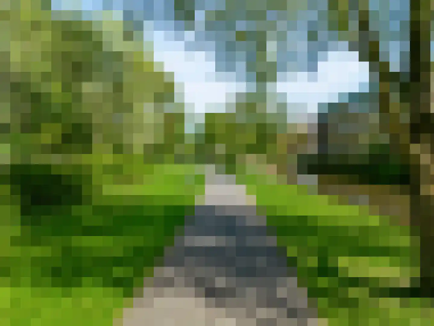 Reigerpark 36 Purmerend thumbnail 56
