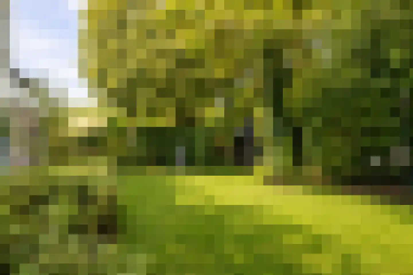 Reigerpark 7 Purmerend thumbnail 17
