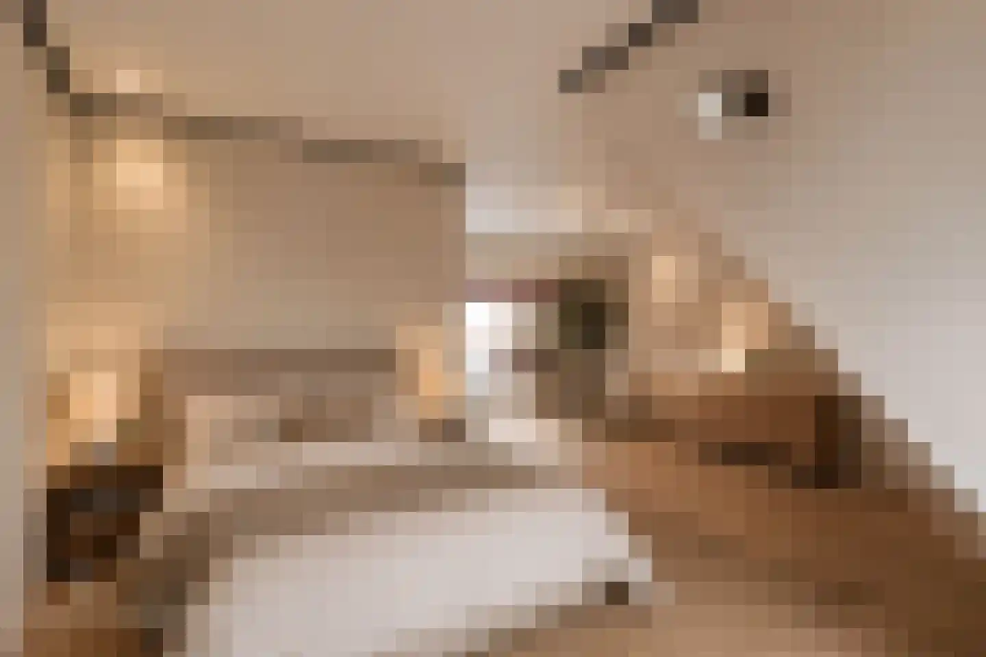 Reigerpark 7 Purmerend thumbnail 39
