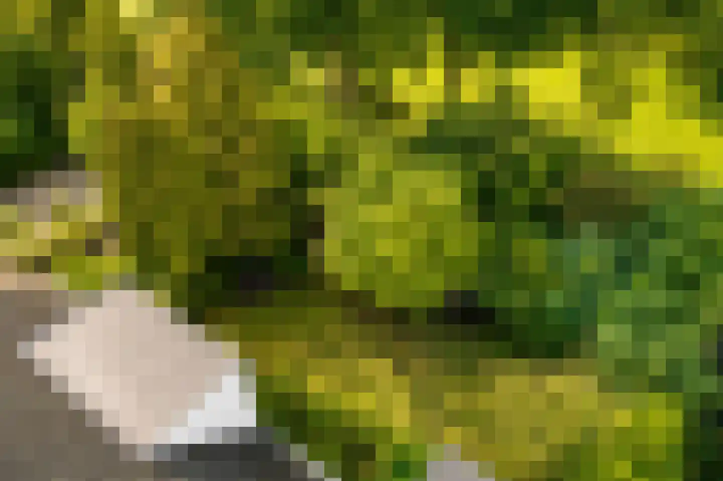 Reigerpark 7 Purmerend thumbnail 40