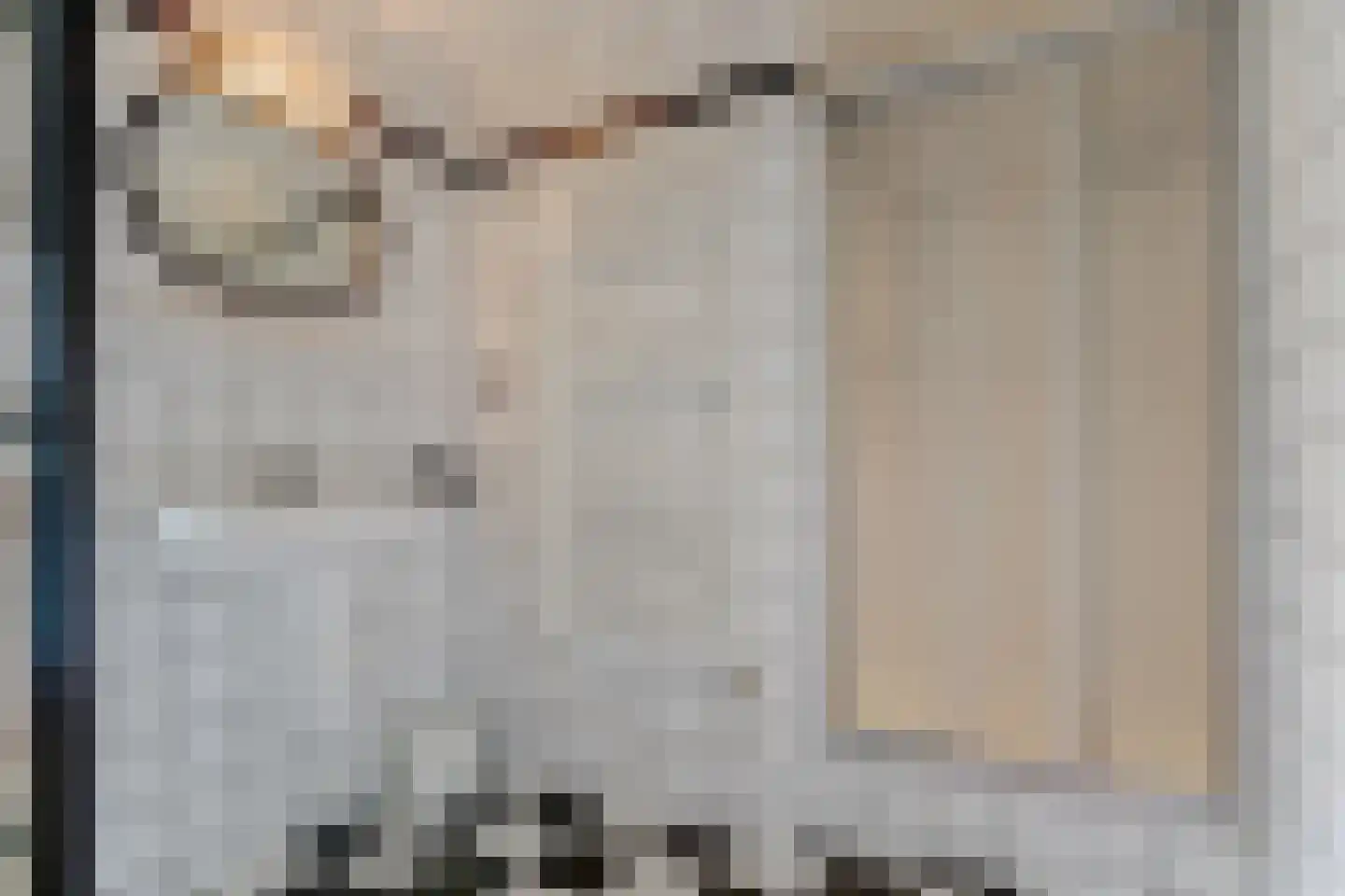 Reigerpark 7 Purmerend thumbnail 48