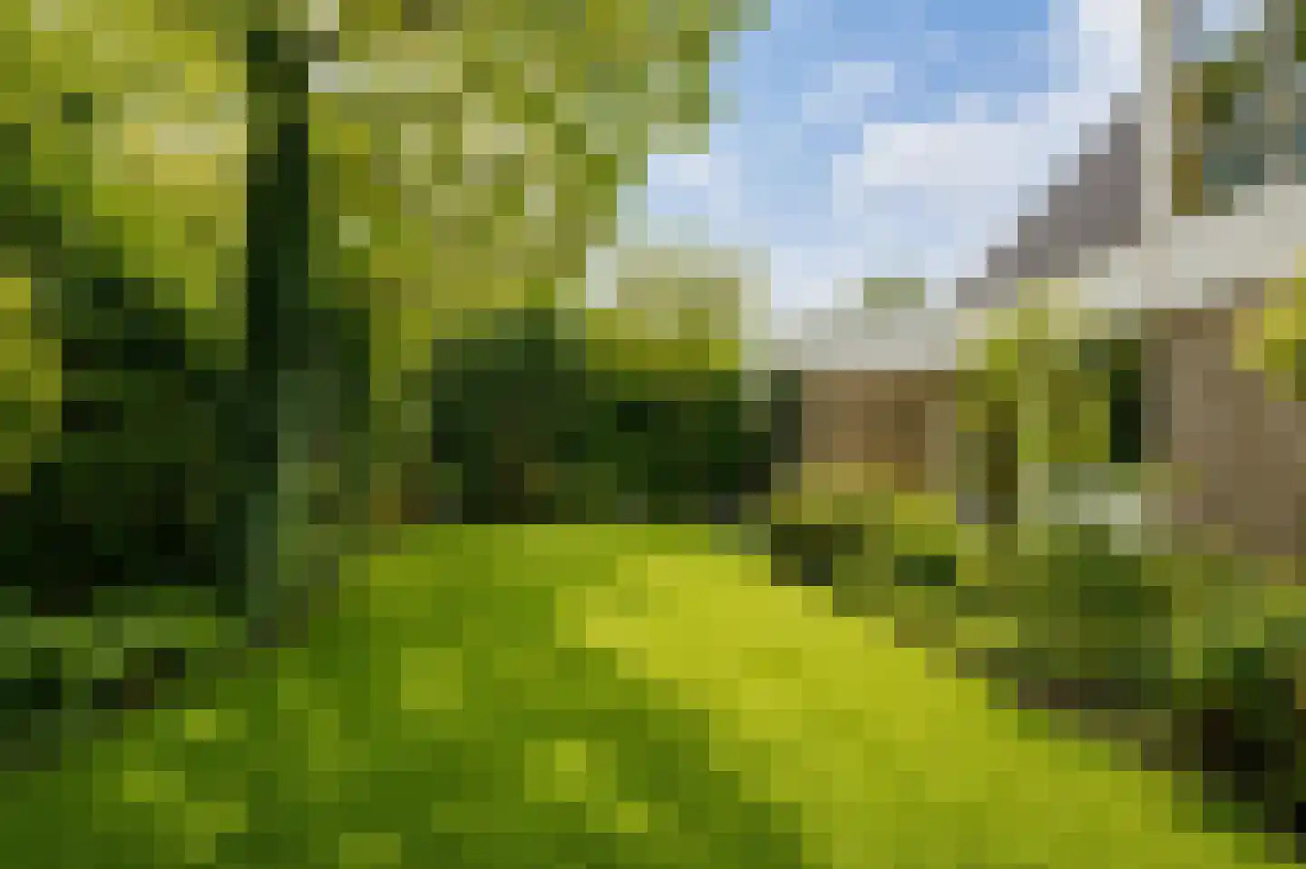 Reigerpark 7 Purmerend thumbnail 58