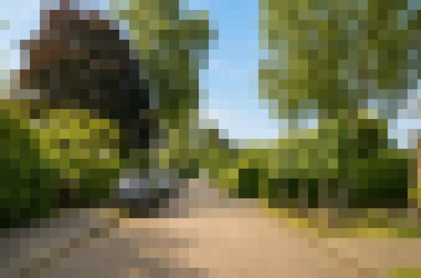 Reigerpark 7 Purmerend thumbnail 63