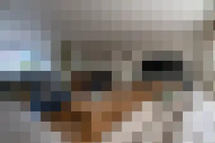 Reigerplein 8 Spijkenisse thumbnail 15