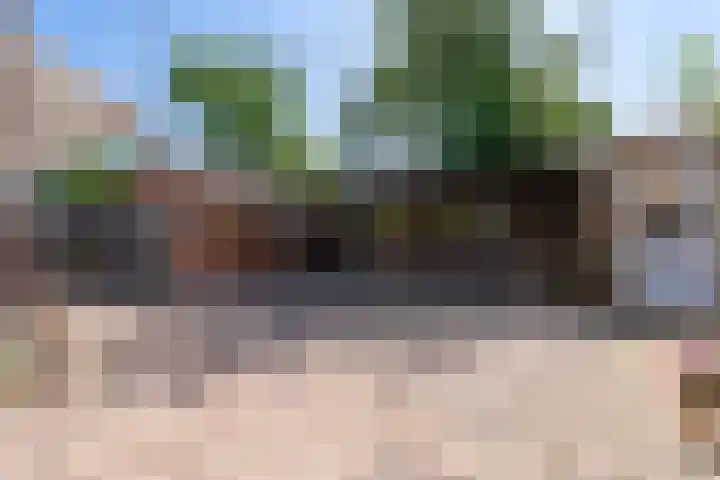 Reigerplein 8 Spijkenisse thumbnail 21