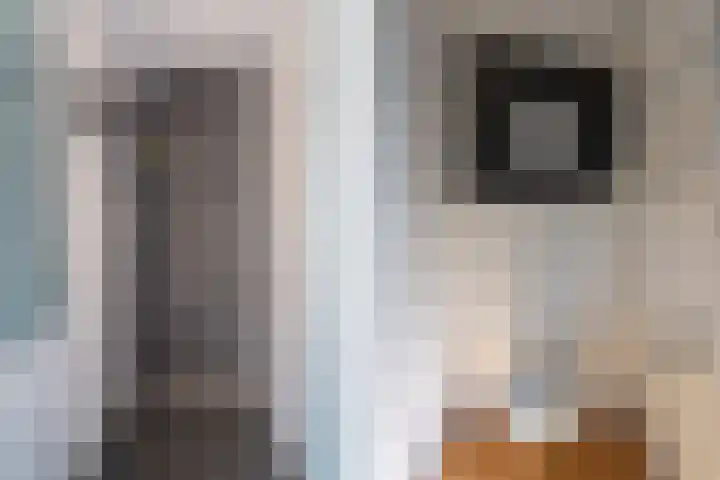 Reigerplein 8 Spijkenisse thumbnail 24