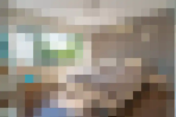 Reigerplein 8 Spijkenisse thumbnail 31