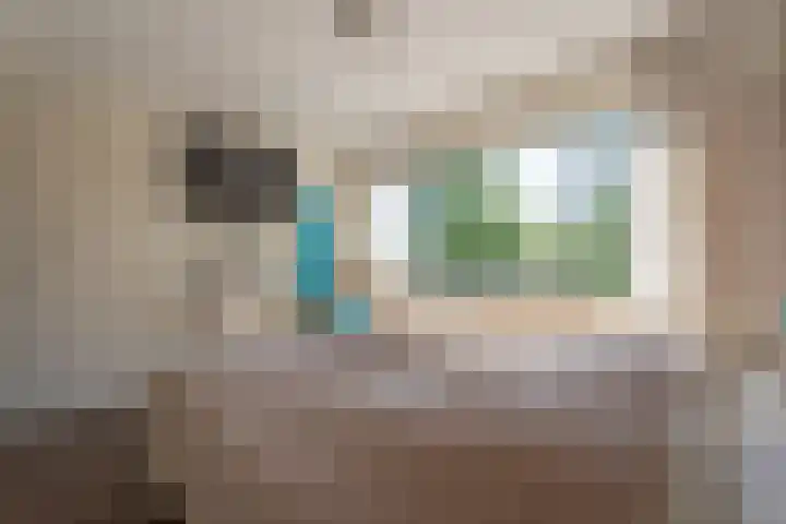 Reigerplein 8 Spijkenisse thumbnail 32