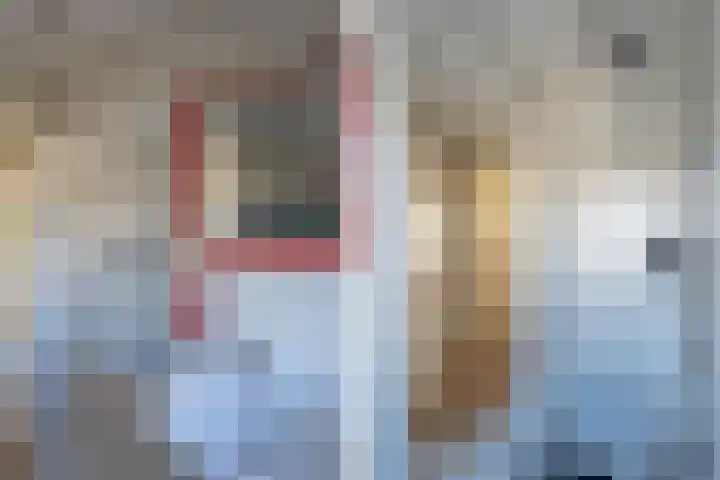 Reigerplein 8 Spijkenisse thumbnail 36