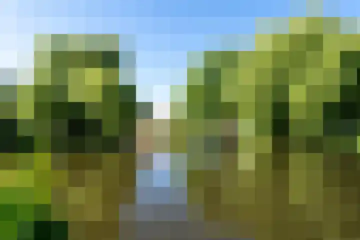 Reigerplein 8 Spijkenisse thumbnail 6