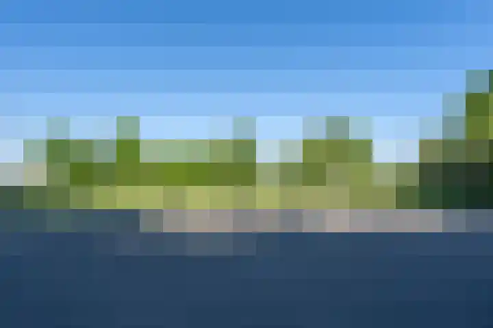 Reigerplein 8 Spijkenisse thumbnail 7