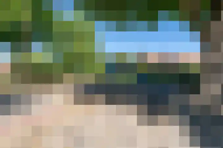 Reigerplein 8 Spijkenisse thumbnail 8
