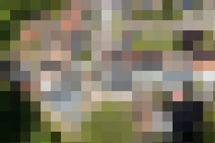Reigerplein 8 Spijkenisse thumbnail 9