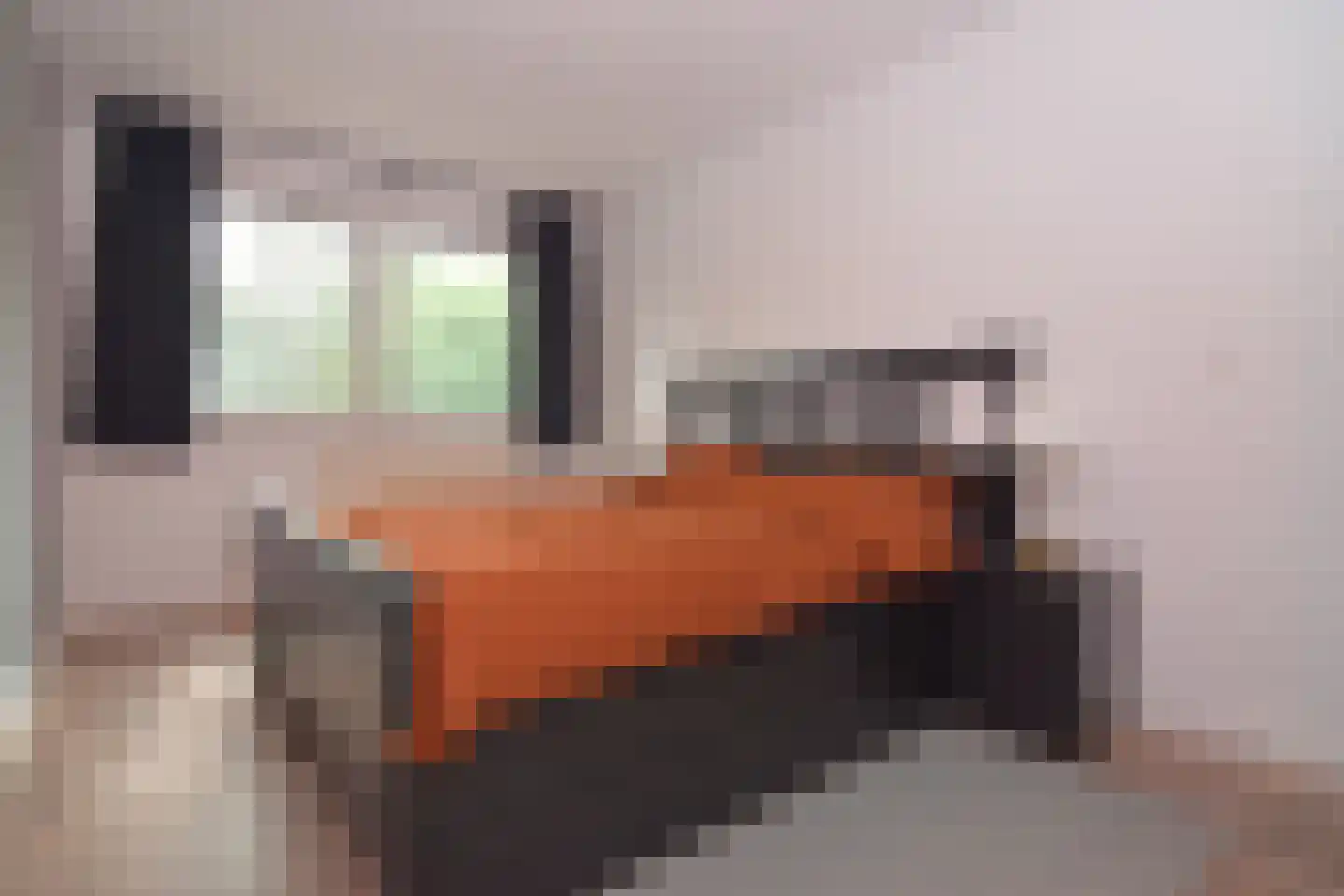 Reigersbek 11 Maartensdijk thumbnail 15