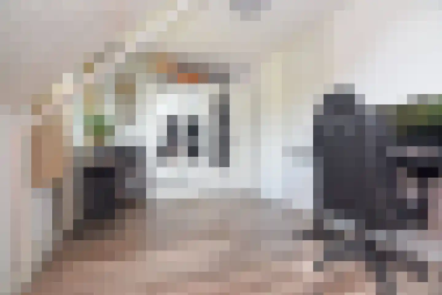 Reigersbek 11 Maartensdijk thumbnail 17